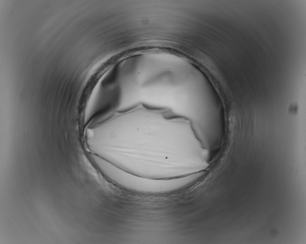 X0000113000972200909171402