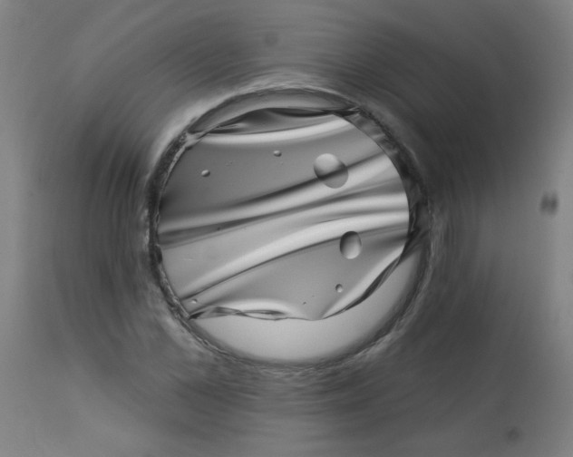 X0000113000973200909171402