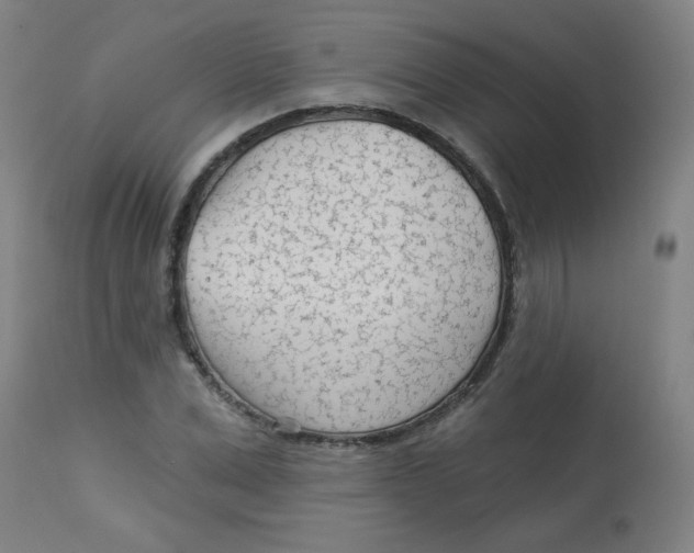 X0000113000975200909171402