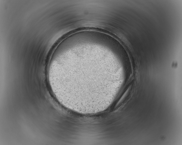 X0000113000976200909171402