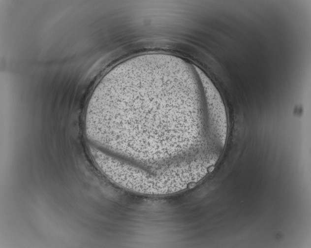 X0000113000978200909171402