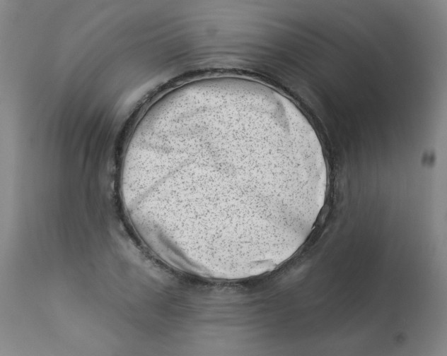 X0000113000979200909171402