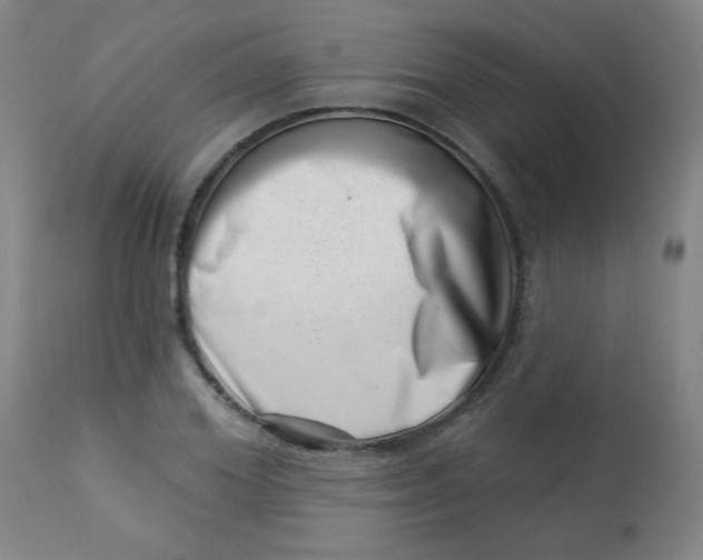 X0000113000980200909171402