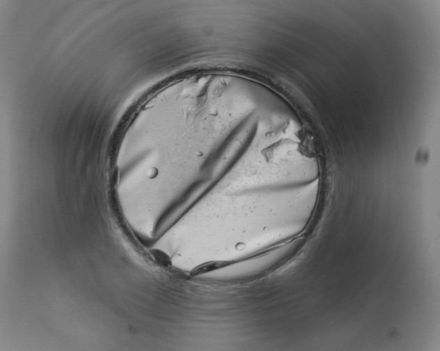 X0000113000981200909171402