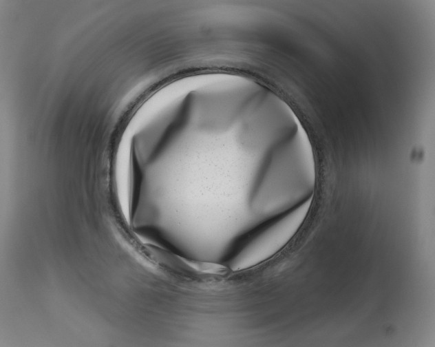 X0000113000982200909171402