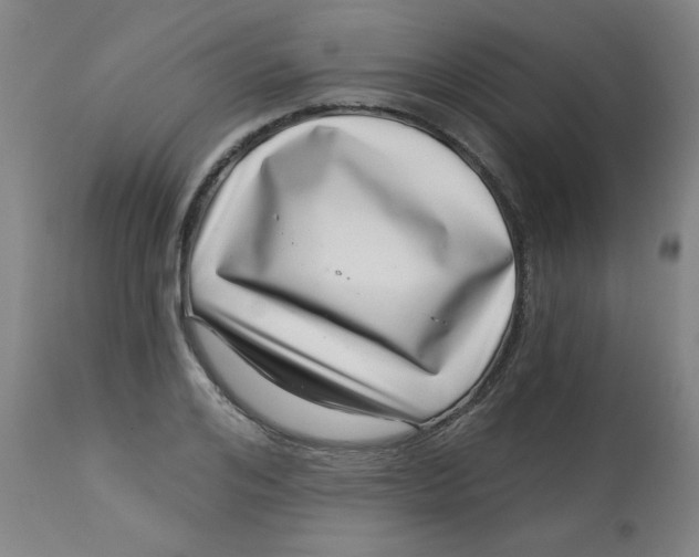 X0000113000984200909171402