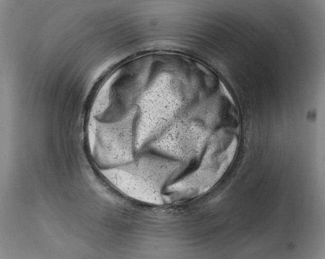 X0000113000987200909171402