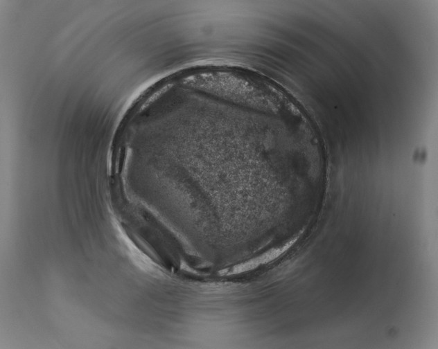 X0000113000988200909171402