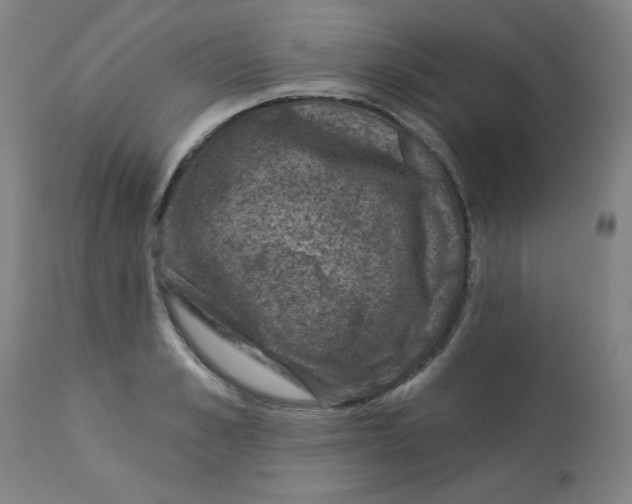 X0000113000989200909171402