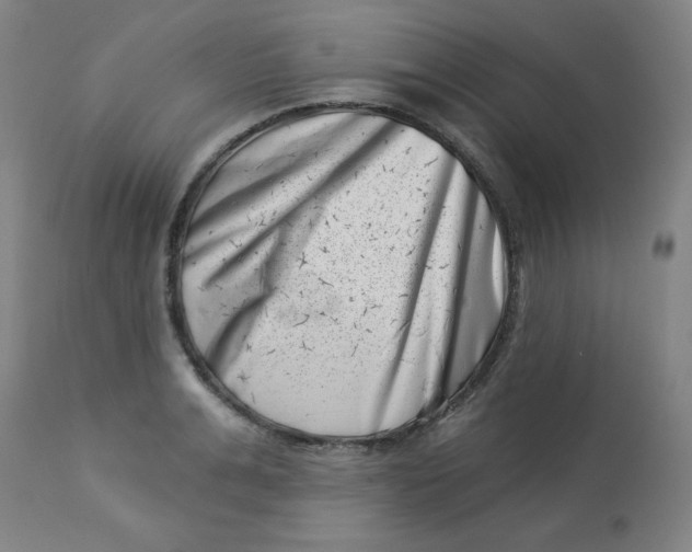 X0000113000991200909171402