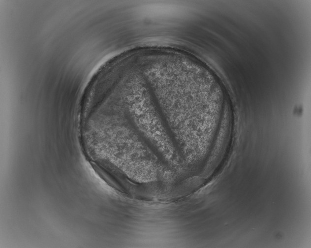 X0000113000992200909171402