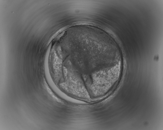 X0000113000993200909171402