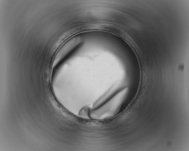 X0000113000994200909171402