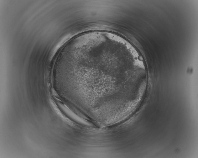 X0000113000997200909171402