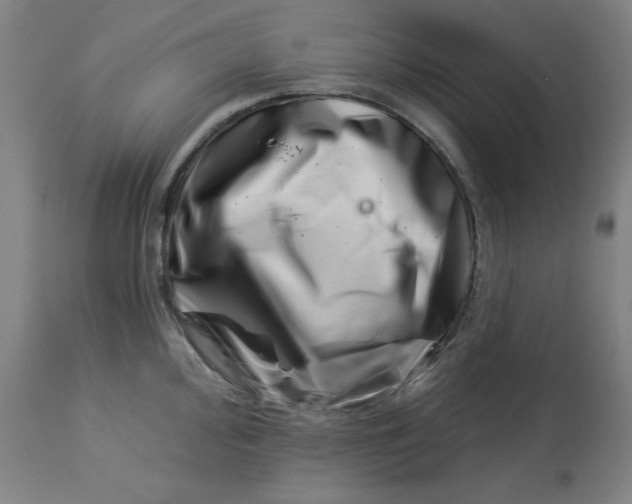 X0000113001000200909171402