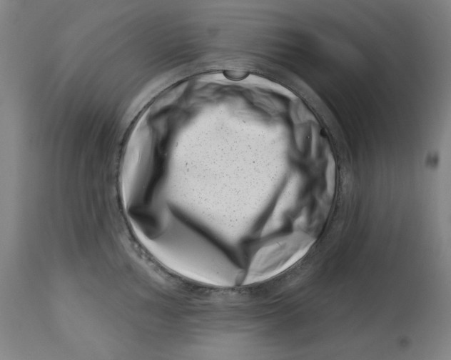 X0000113001002200909171402