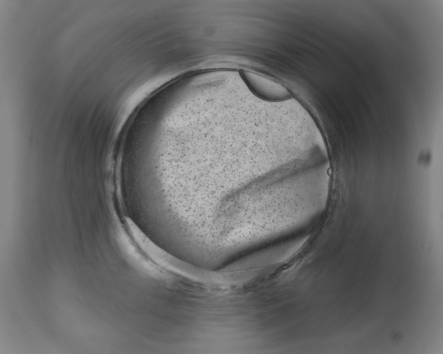 X0000113001003200909171402