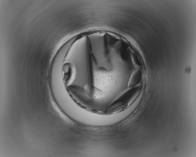 X0000113001005200909171402