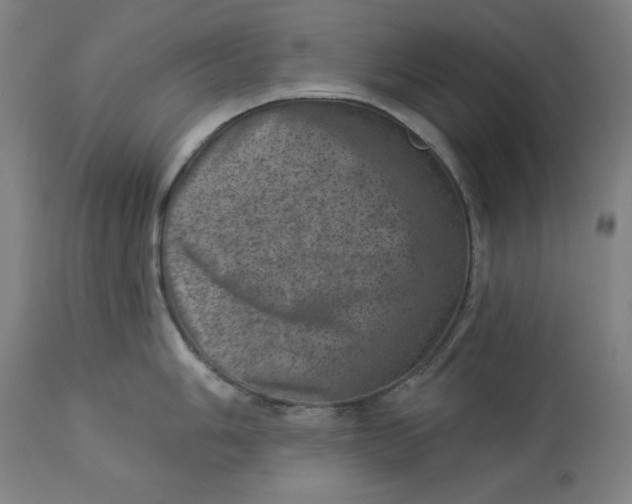 X0000113001006200909171402