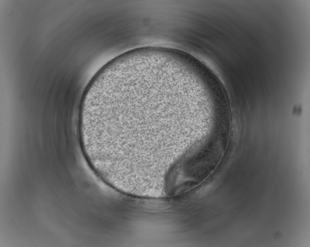 X0000113001007200909171402