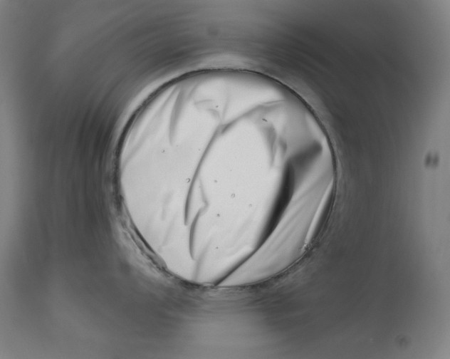 X0000113001008200909171402