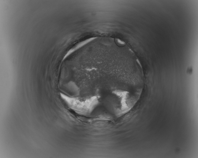 X0000113001009200909171401