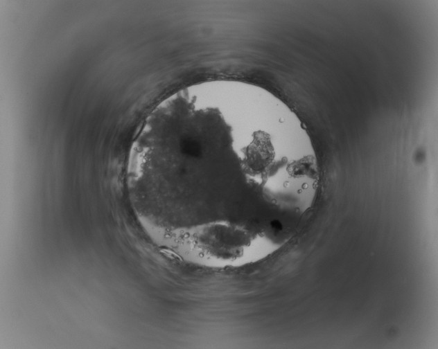 X0000113001010200909171401