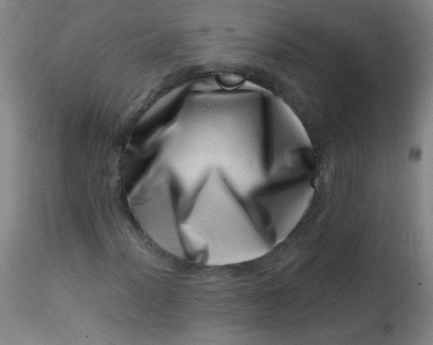 X0000113001012200909171401