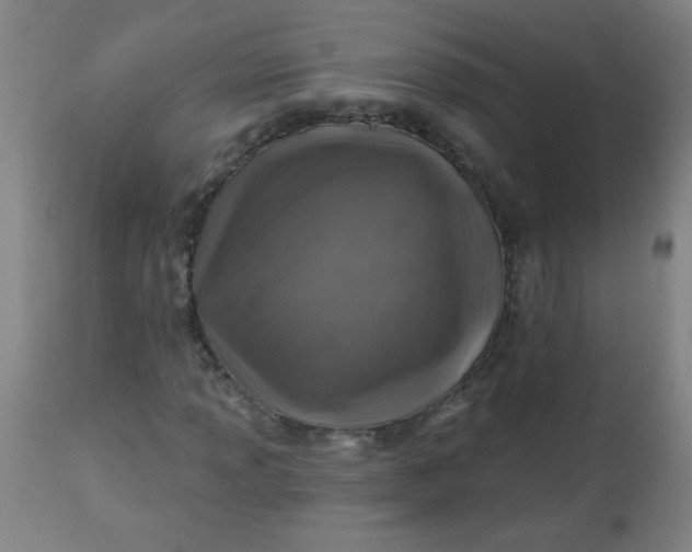 X0000113001013200909171401