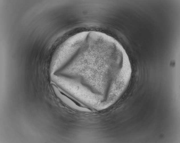 X0000113001016200909171401