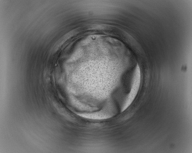 X0000113001017200909171401