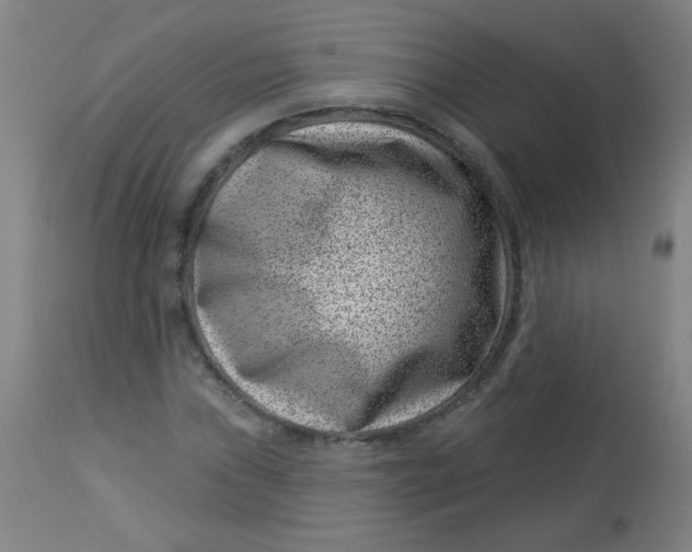 X0000113001019200909171401