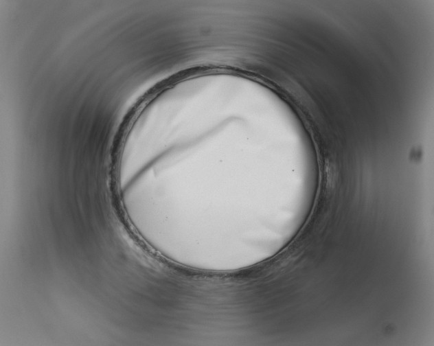 X0000113001020200909171401