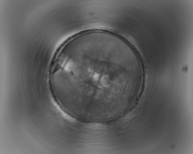 X0000113001024200909171401