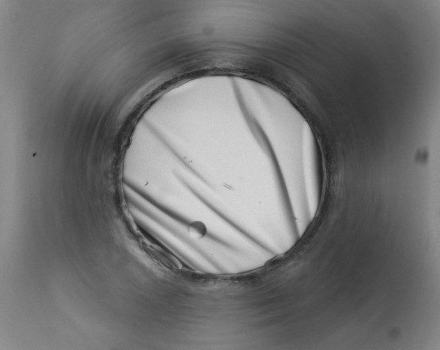 X0000113001026200909171401