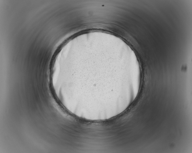 X0000113001028200909171401