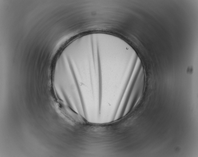 X0000113001030200909171401