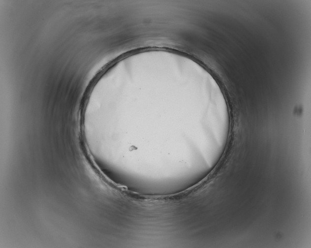 X0000113001032200909171401