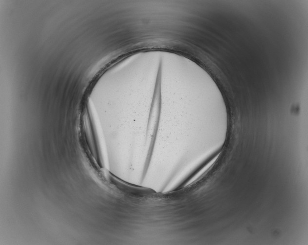 X0000113001034200909171401