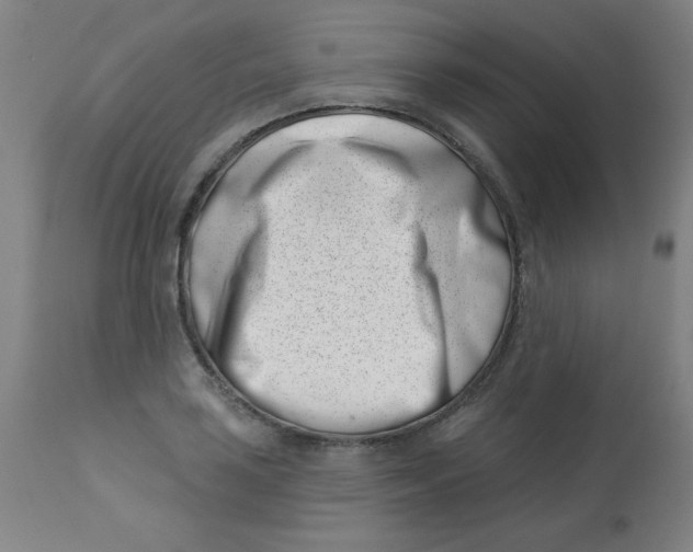 X0000113001035200909171401