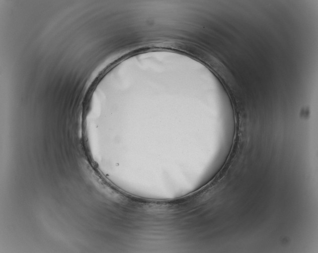 X0000113001036200909171401