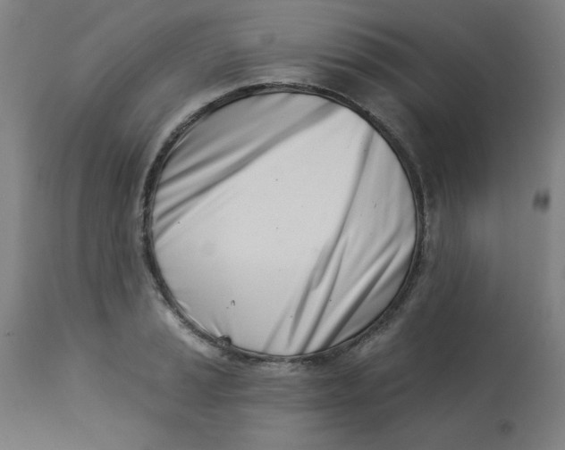 X0000113001037200909171401