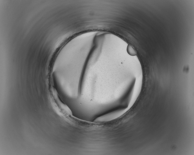 X0000113001038200909171401