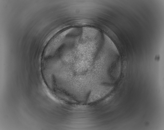 X0000113001039200909171401