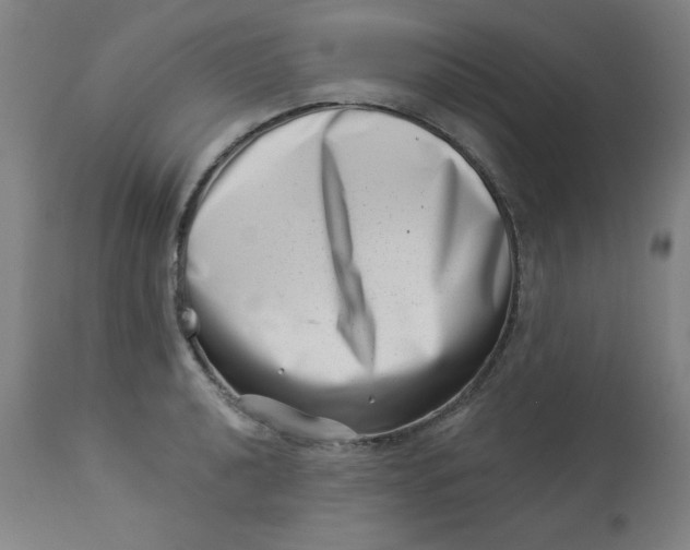 X0000113001040200909171401