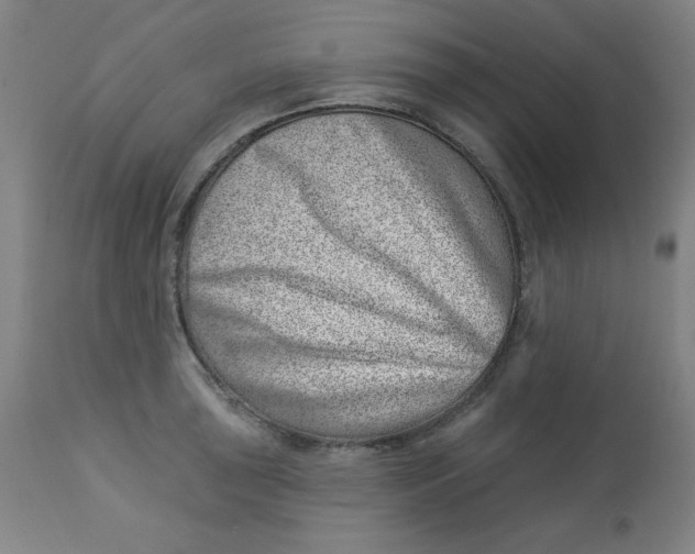 X0000113001043200909171401