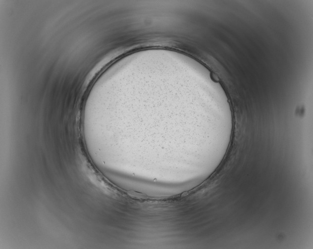 X0000113001044200909171401