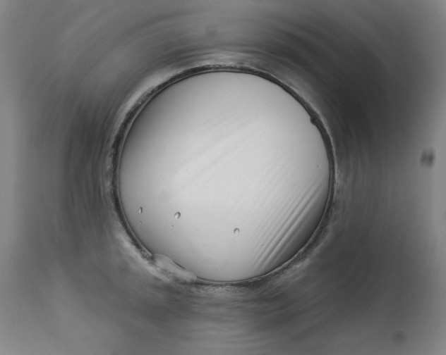 X0000113001045200909171401