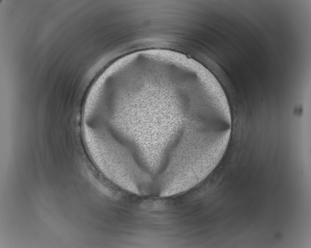 X0000113001051200909171401