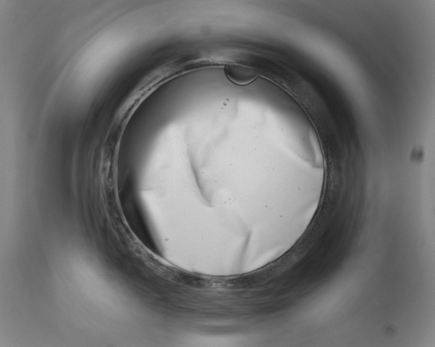 X0000113001052200909171401